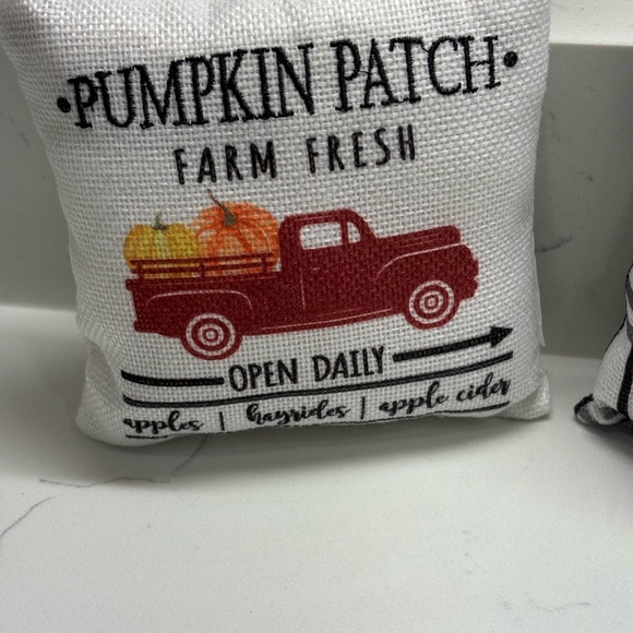 Set of Two Fall Themed Decorative Pillows - Picture 3 of 13
